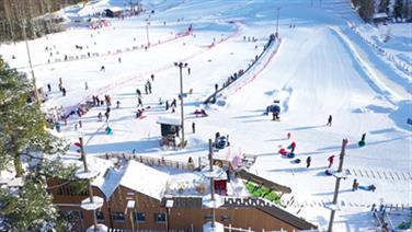 Image for: 8 x Werneri Park arki-ilta sis. etäkortit (Werneri Park)